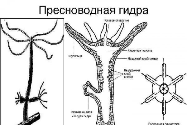 Сайты продаж наркотиков