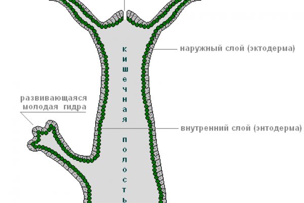 Кракен магазин kraken014 com