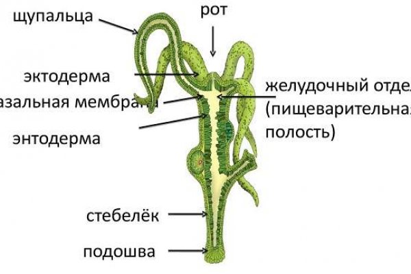 Кракен даркнет сайт на русском